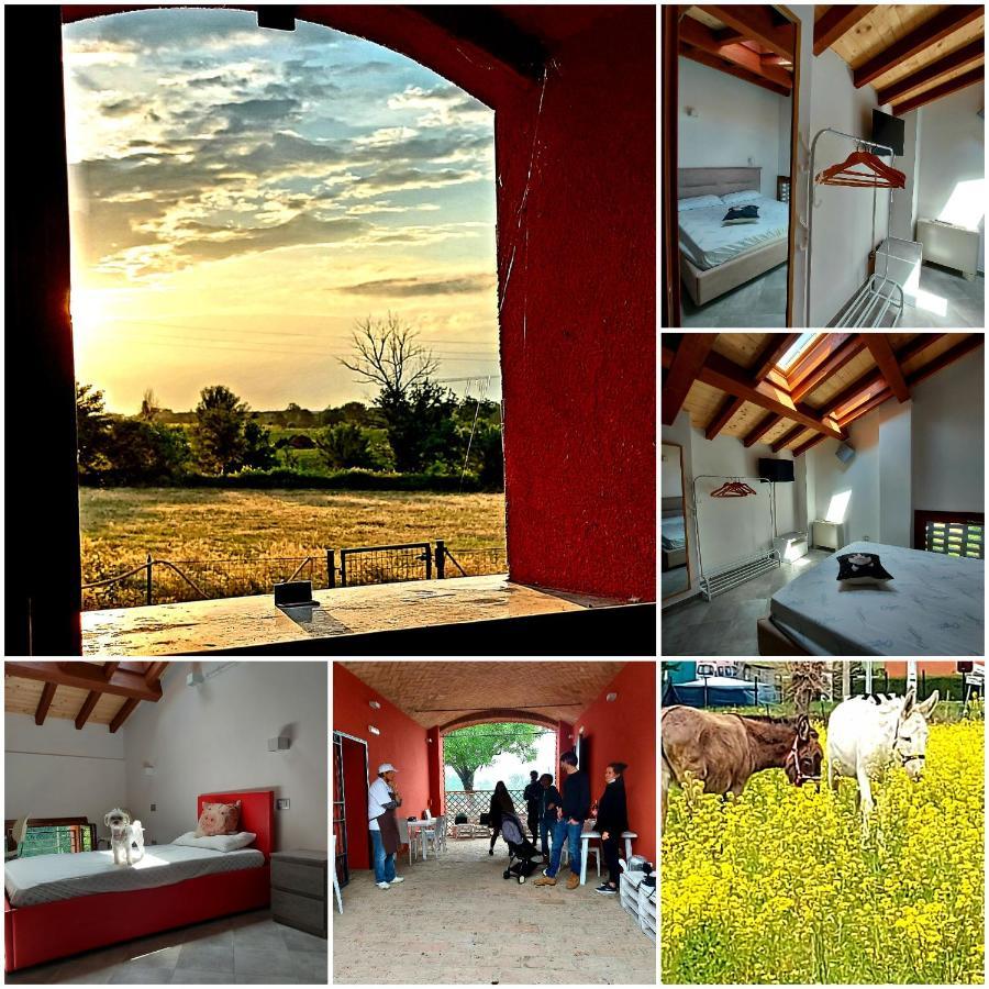 Agriturismo Fattoria Ferrari Maria Rita Pozza Exterior foto